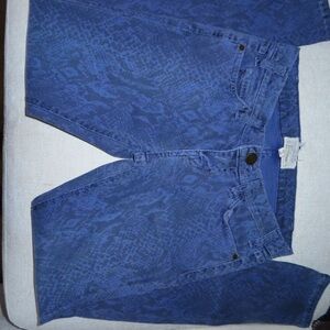 Current/Elliott Blue Skinny Jeans